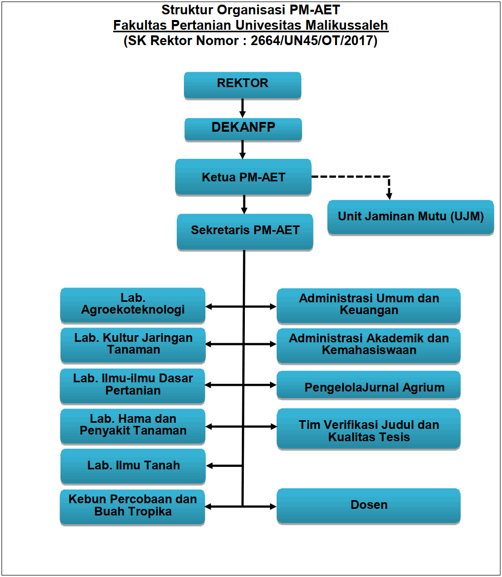 Struktur Organisasi PMAET